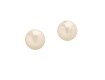 Pearl Stud Earrings